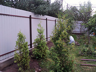 Забор в кирове