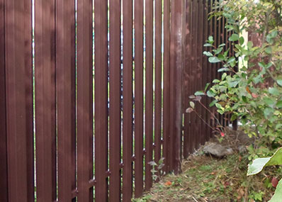 Дачный забор из евроштакетника